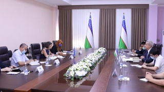 Европейский союз окажет содействие в реализации реформ в сфере образования Узбекистана