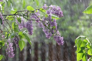 Прогноз погоды на 2 апреля