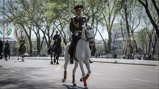 В Ташкенте 14 марта состоится Конный парад, посвященный Наврузу