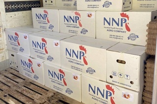 В Красноярский край из Узбекистана доставили 145 тысяч инкубационных яиц