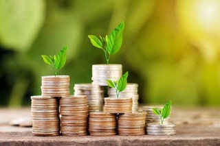 Производителям сельскохозяйственной продукции будет предоставлена субсидия через информационную систему «Агросубсидия»