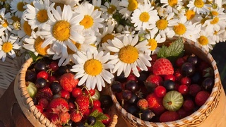 Выходные вновь будут жаркими