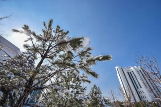 5-yanvar kuni yurtimiz boʻylab kutilayotgan ob-havo maʼlumoti maʼlum qilindi