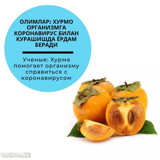Xurmo koronavirus bilan kurashishda organizmga yordam beradi