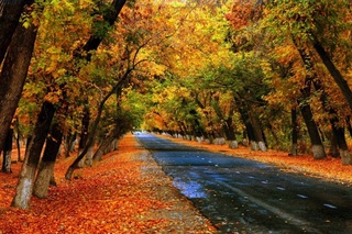 16 октябр кунги об-ҳаво маълумоти эълон қилинди