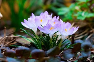 Dam olish kunlari havo harorati +18 darajagacha koʻtariladi