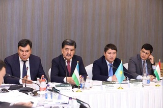Обсуждены вопросы подготовки к Региональному экологическому саммиту Центральной Азии