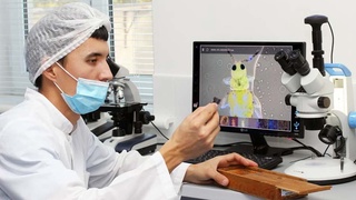 Растения под контролем высокотехнологичного оборудования