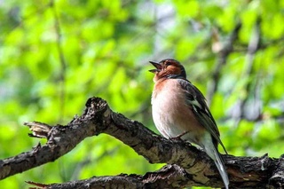 Weather forecast for September 25