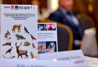 В Ташкенте рассказали о результатах проекта по борьбе с незаконной торговлей дикими животными в Центральной Азии