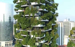 В ЮНЕП призывают инвестировать в проекты, которые спасают от жары и приносят пользу природе