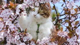 Какая погода нас ждет в праздничные дни?