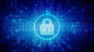 В Узбекистане будут приняты меры по дальнейшему развитию образования и науки в сфере криптологии