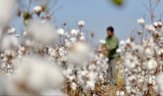 Forced labor is prohibited and unacceptable in Uzbekistan