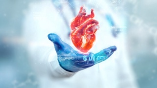 Юрак касалликлари қандай белгилар орқали намоён бўлади?