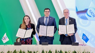 Объединяя усилия для восстановления ландшафтов и земельных ресурсов