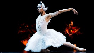 В столице пройдет вечер современной хореографии с Дианой Вишнёвой