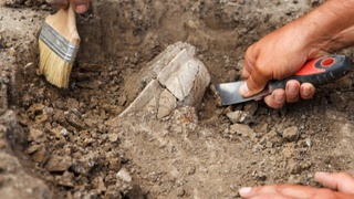 Archaeologists have discovered skates that are about 1,000 years old.