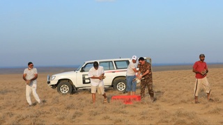 1 100 та йўрға тувалоқ табиатга қўйиб юборилди