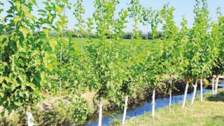 Эффективно задействовать каждую пядь земли