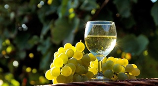 Ўзбекистонда узумзорлар ва виночилик лойиҳаларига 13,1 млн доллар жалб этилди