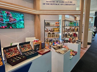 Торговые отношения между Узбекистаном и Грузией выходят на новый уровень