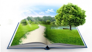 Не допустить «эффекта бабочки»