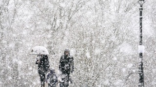 Dam olish kunlari koʻpchilik hududlarida asosan qor yogʻadi