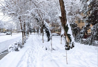 Юртимиз бўйлаб эртадан ҳаво ҳарорати кўтарилади