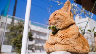 Погода на выходные: в воскресенье немного похолодает