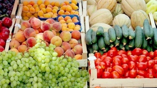 Произведенная продукция растениеводства в республике