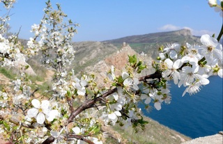 4-aprel kunduzi havo harorati 23-28 daraja boʻladi — Oʻzgidromet