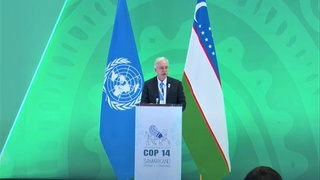 ФАО подчеркивает сплоченность стран Центральной Азии на пути к сохранению мигрирующих видов животных