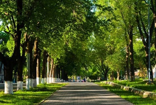 Пешгӯии обу ҳаво барои 10 июл