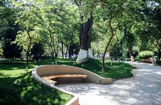 Ташкент будет преобразован в один из мегаполисов с чистым воздухом