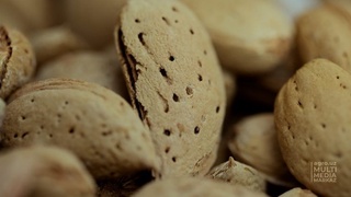 Oʻzbekistonda qancha bodom yetishtiriladi?