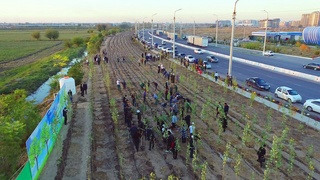 Toshkent viloyati mahallalarida 28-29-oktyabr kunlari hashar oʻtkaziladi