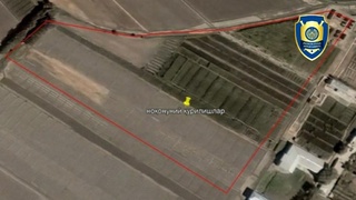 Fermer xo'jaligining yer maydonini o'zboshimchalik bilan egallab, sotib yuborish  holati aniqlandi