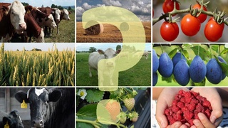 Впервые в Узбекистане реализуется мероприятие по проведению переписи в области сельского хозяйства