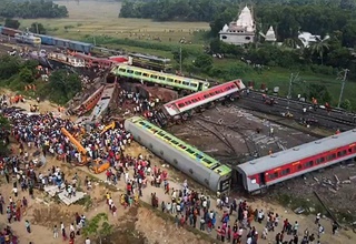 In India, eight elephants were killed in a collision with a train