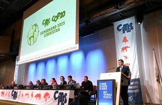 Uzbekistan presents the official logo of CITES COP 20