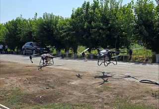 Наманганда ғўза дефолиациясида дронлардан фойдаланиш бошланди