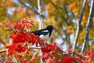 Weather forecast for October 10th