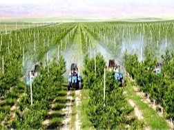 Аграр секторга ихтисослашган ташкилотлар фаолиятини модернизациялаш учун 20 миллион доллар ажратилади