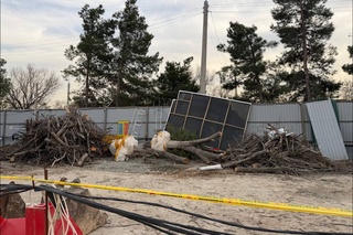 Xorij kompaniyasi Oʻzbekiston tabiatiga 351 mln soʻmdan ortiq zarar yetkazdi