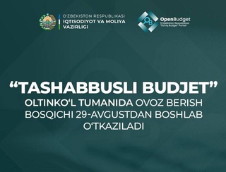 В Алтынкульском районе с 29 августа начинается голосование по проектам «Инициативного бюджета»