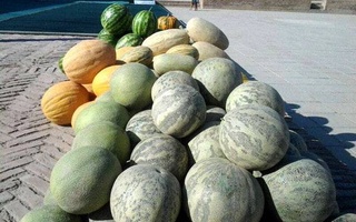 Закон, разработанный при поддержке ФАО, - в действии