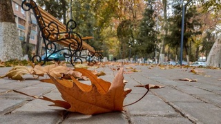 О погоде на выходные