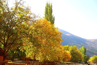 Бугун юртимизда ҳаво ўзгарувчан  бўлади, ёғингарчилик кутилмайди