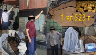 Сотрудники завода в Навои попытались похитить золото на сумму более 2 миллиардов сумов